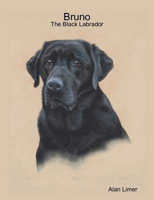 Bruno - The Black Labrador - Alan Limer