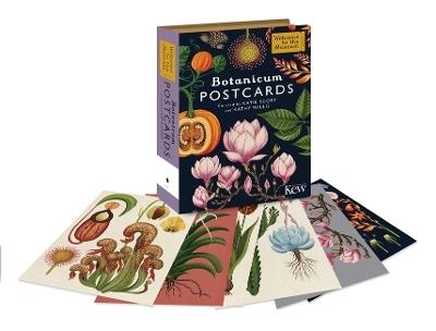 Botanicum Postcards - Kathy Willis