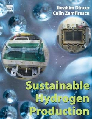 Sustainable Hydrogen Production - Ibrahim Dincer, Calin Zamfirescu