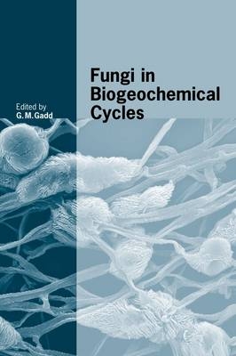 Fungi in Biogeochemical Cycles - 