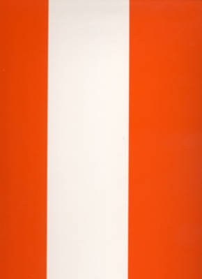 Daniel Buren - Suzanne Cotter