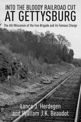 In the Bloody Railroad Cut at Gettysburg - Lance Herdegen, William J. K. Beaudot Beaudot