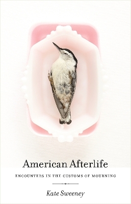 American Afterlife - Kate Sweeney