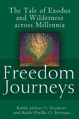 Freedom Journeys - Rabbi Arthur O. Waskow, Rabbi Phyllis O. Berman