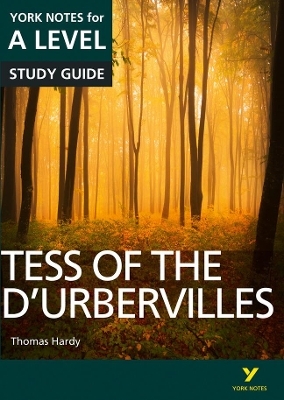 Tess of the D’Urbervilles: York Notes for A-level everything you need to catch up, study and prepare for and 2023 and 2024 exams and assessments - Karen Sayer, Beth Palmer