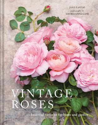 Vintage Roses - Jane Eastoe