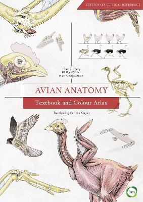 Avian Anatomy - Horst Erich Konig, Rudiger Korbel, Hans-Georg Liebich