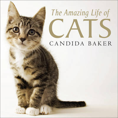 The Amazing Life of Cats - Candida Baker