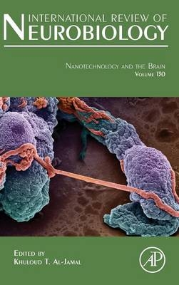 Nanotechnology and the Brain - 