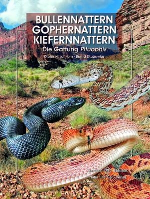 Bullennattern, Gophernattern und Kiefernnattern - Dieter Hirschkorn, Bernd Skubowius