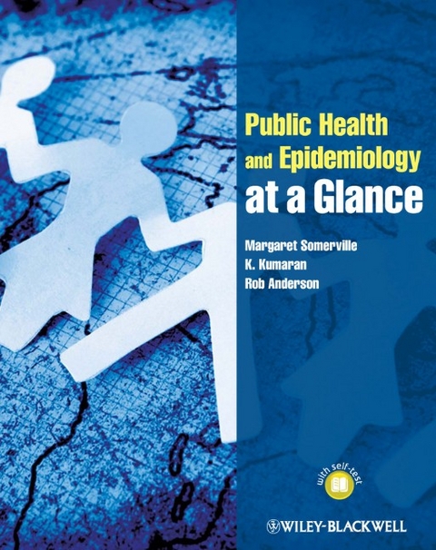 Public Health and Epidemiology at a Glance - Margaret Somerville, K. Kumaran, Rob Anderson