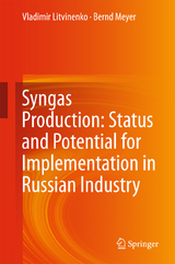 Syngas Production: Status and Potential for Implementation in Russian Industry - Vladimir Litvinenko, Bernd Meyer