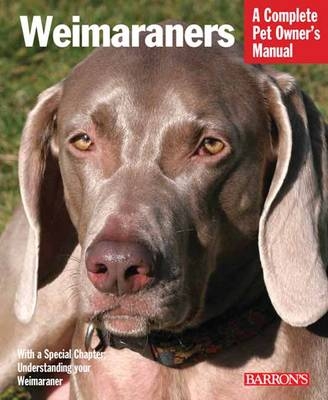 Weimaraners - Susan Fox