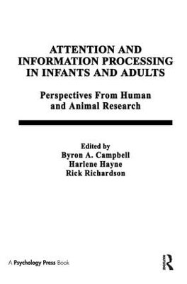 Attention and information Processing in infants and Adults - 