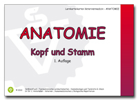 Anatomie: Kopf und Stamm - Gabriele Glück