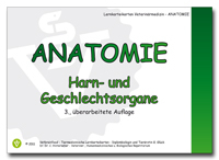 Anatomie: Harn- und Geschlechtsorgane - Gabriele Glück