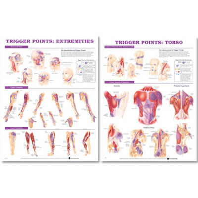 Trigger Point Chart Set - 