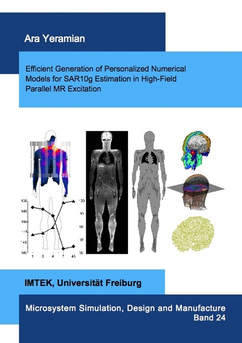 Efficient Generation of Personalized Numerical Models for SAR10g Estimation in High-Field Parallel MR Excitation - Ara Yeramian