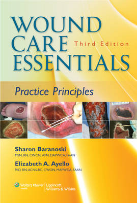 Wound Care Essentials - Sharon Baranoski, Elizabeth A. Ayello