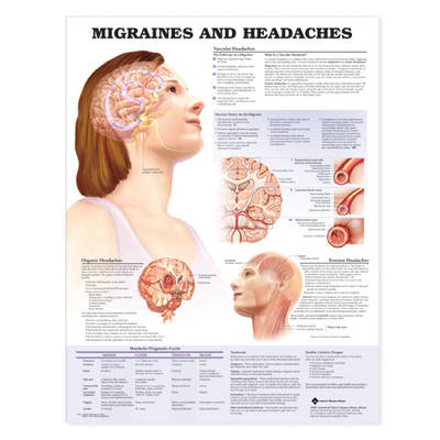 Migraines & Headaches -  9979pu