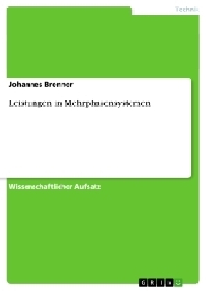 Leistungen in Mehrphasensystemen - Johannes Brenner