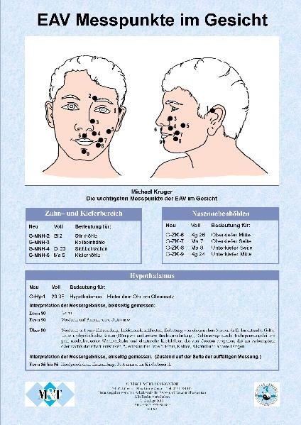 Die wichtigsten Messpunkte der Elektroakupunktur im Gesicht  (Info-Blatt, Papier, DIN A4) - Michael Krüger