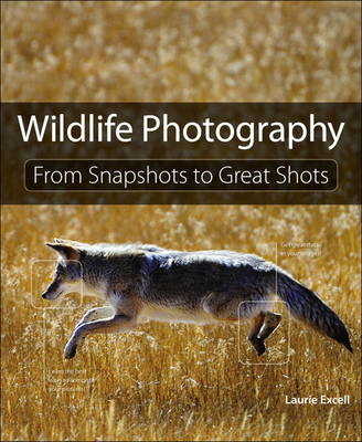 Wildlife Photography - Laurie S. Excell