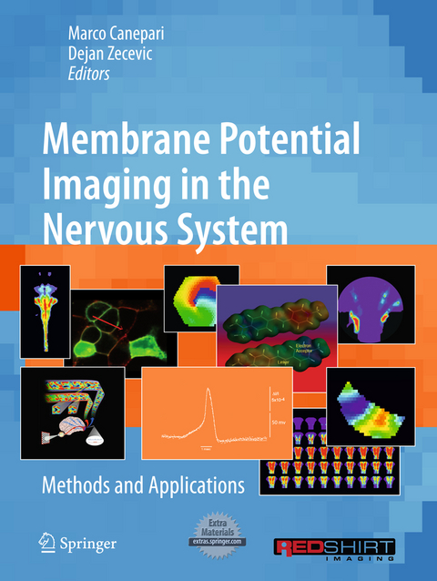 Membrane Potential Imaging in the Nervous System - 