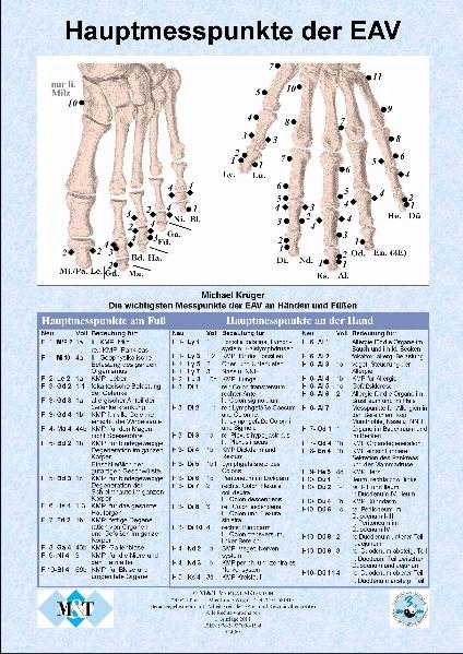 Die wichtigsten Messpunkte (Hauptmesspunkte) der Elektroakupunktur an Händen und Füßen   (Info-Blatt, Papier, DIN A4) - Michael Krüger
