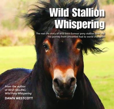 Wild Stallion Whispering - Dawn Westcott