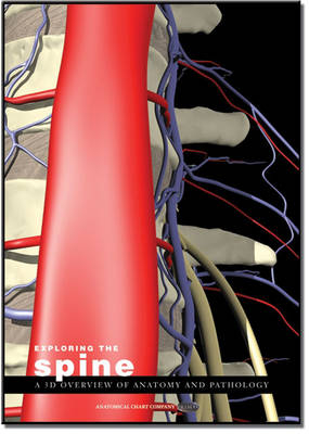 Exploring the Spine: a 3D Overview of Anatomy and Pathology