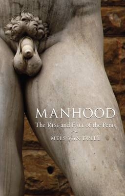 Manhood - Mels van Driel