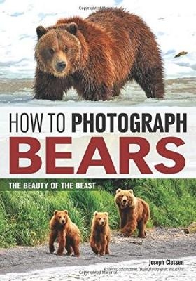 How To Photograph Bears - Joseph Classen