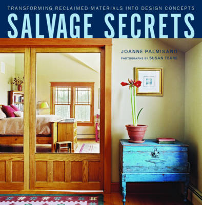 Salvage Secrets - Joanne Palmisano