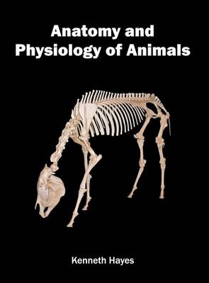 Anatomy and Physiology of Animals - 