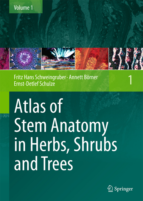 Atlas of Stem Anatomy in Herbs, Shrubs and Trees - Fritz Hans Schweingruber, Annett Börner, Ernst-Detlef Schulze