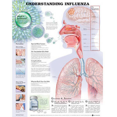 Understanding Influenza