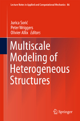 Multiscale Modeling of Heterogeneous Structures - 