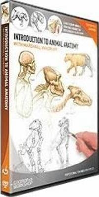 Introduction to Animal Anatomy - Marshall Vandruff