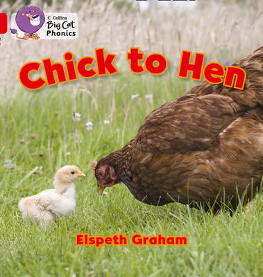 Chick to Hen - Elspeth Graham