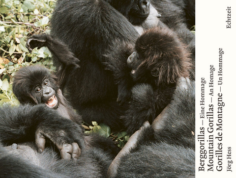 Berggorillas. Gorilles de montagne. Mountain Gorillas - Jörg Hess