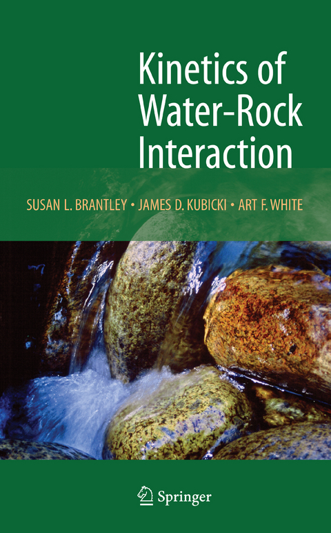 Kinetics of Water-Rock Interaction - 
