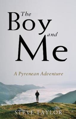 The Boy and Me - Steve Taylor