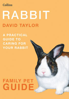 Rabbit - David Taylor