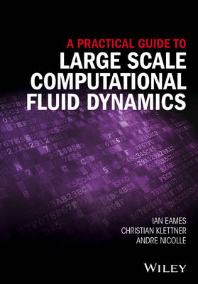 A Practical Guide to Large Scale Computational Fluid Dynamics - Ian Eames, Christian Klettner, Andre Nicolle