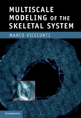 Multiscale Modeling of the Skeletal System - Marco Viceconti