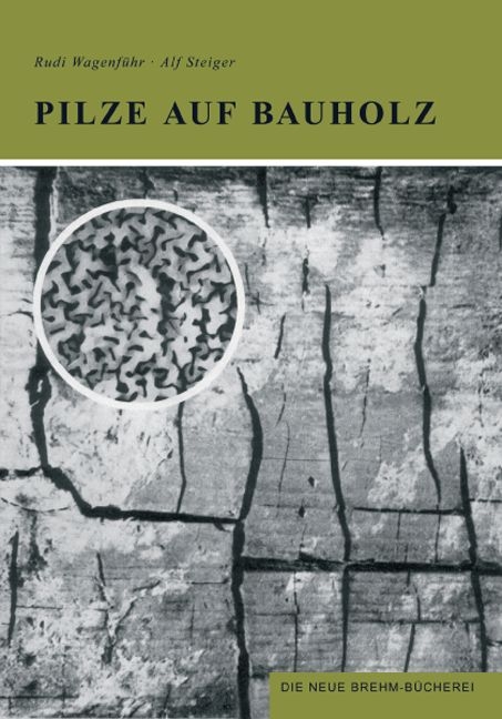 Pilze auf Bauholz - Rudi Wagenführ