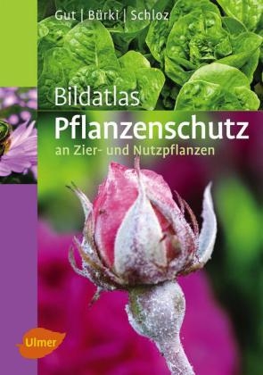 Bildatlas Pflanzenschutz an Zier- und Nutzpflanzen - Philipp Gut, Moritz Bürki, Wolfgang Schloz