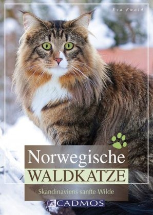 Norwegische Waldkatze - Eva Ewald