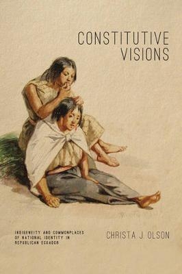 Constitutive Visions - Christa J. Olson